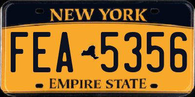NY license plate FEA5356