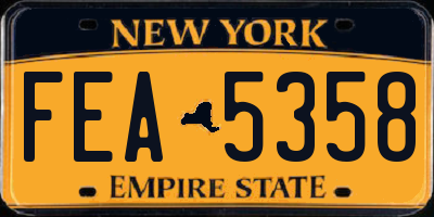NY license plate FEA5358