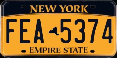 NY license plate FEA5374