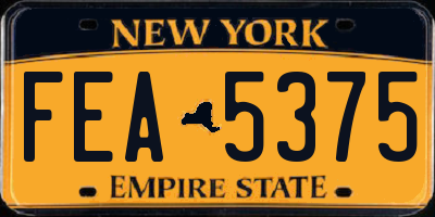 NY license plate FEA5375