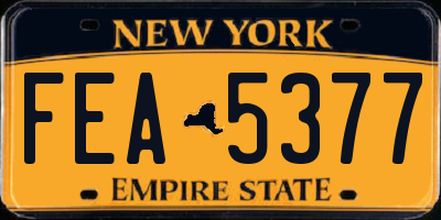NY license plate FEA5377