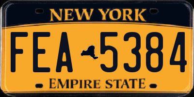 NY license plate FEA5384