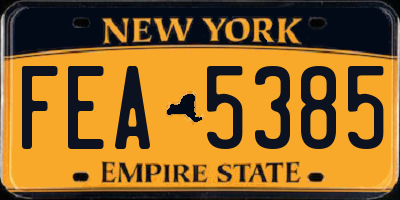 NY license plate FEA5385