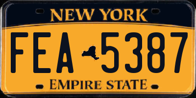 NY license plate FEA5387