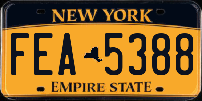 NY license plate FEA5388