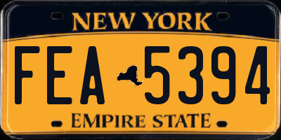 NY license plate FEA5394