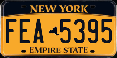 NY license plate FEA5395