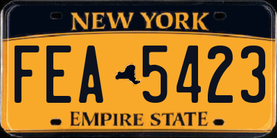 NY license plate FEA5423