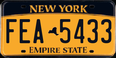 NY license plate FEA5433