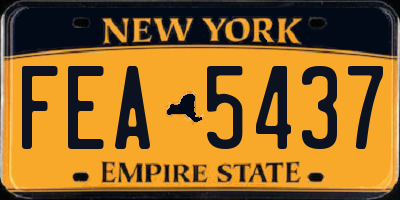 NY license plate FEA5437