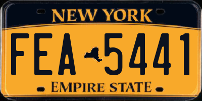 NY license plate FEA5441