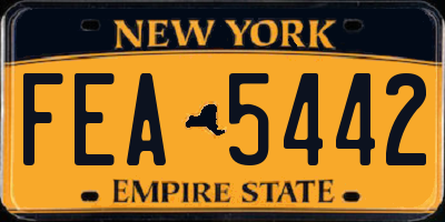 NY license plate FEA5442