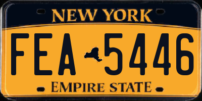 NY license plate FEA5446