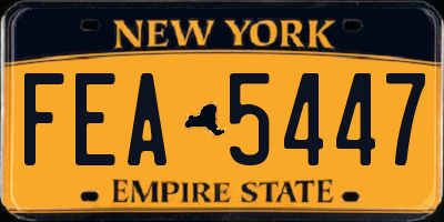 NY license plate FEA5447