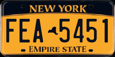 NY license plate FEA5451