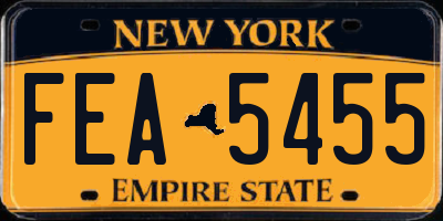 NY license plate FEA5455