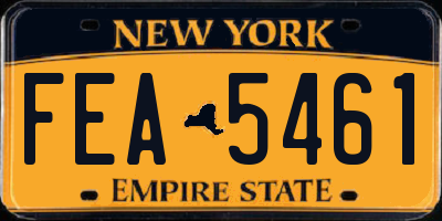 NY license plate FEA5461
