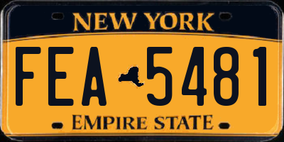 NY license plate FEA5481