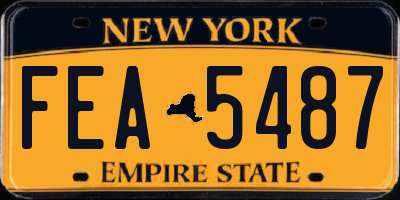 NY license plate FEA5487