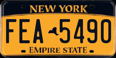 NY license plate FEA5490