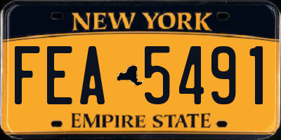 NY license plate FEA5491