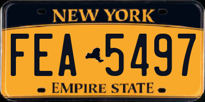 NY license plate FEA5497