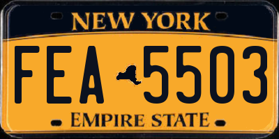 NY license plate FEA5503
