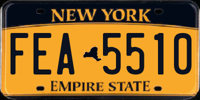 NY license plate FEA5510