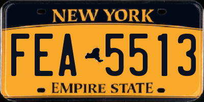 NY license plate FEA5513