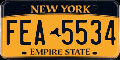 NY license plate FEA5534