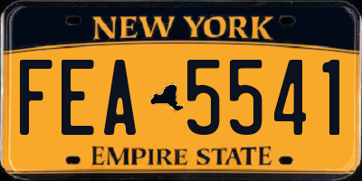 NY license plate FEA5541