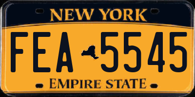 NY license plate FEA5545