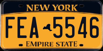 NY license plate FEA5546