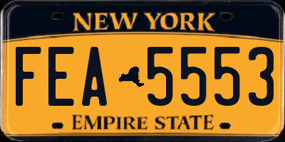 NY license plate FEA5553