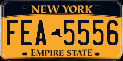 NY license plate FEA5556