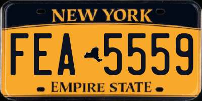 NY license plate FEA5559