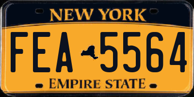 NY license plate FEA5564