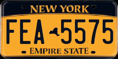 NY license plate FEA5575