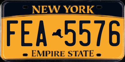 NY license plate FEA5576