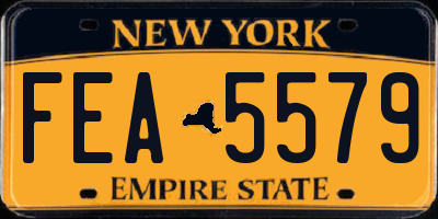 NY license plate FEA5579