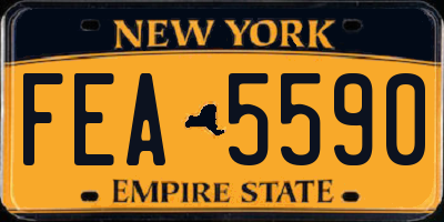 NY license plate FEA5590
