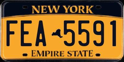 NY license plate FEA5591