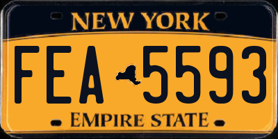 NY license plate FEA5593