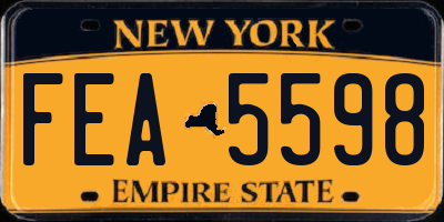 NY license plate FEA5598