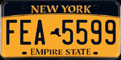 NY license plate FEA5599