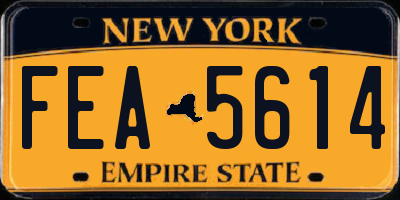 NY license plate FEA5614