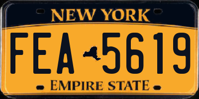 NY license plate FEA5619