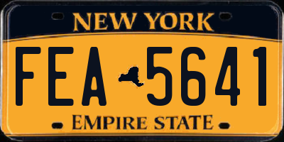 NY license plate FEA5641