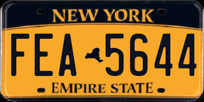 NY license plate FEA5644