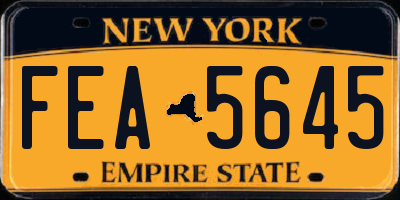 NY license plate FEA5645